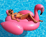 Inflatable Giant Swan Float Pool - Saadstore